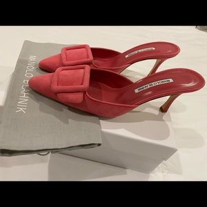 Manolo Blahnik Maysalebi Buckle Pointed *NEW*